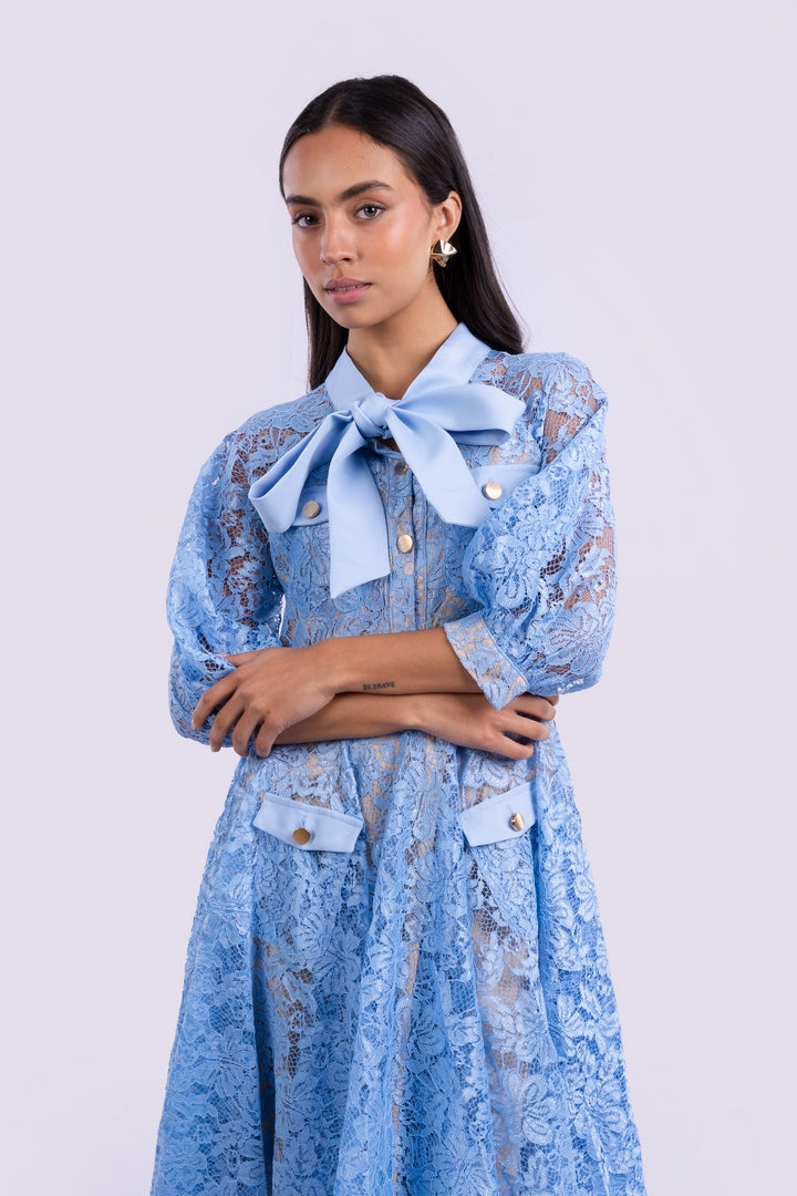 Vintage Spring  FLORAL Lace Dress