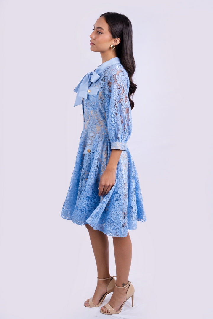 Vintage Spring  FLORAL Lace Dress