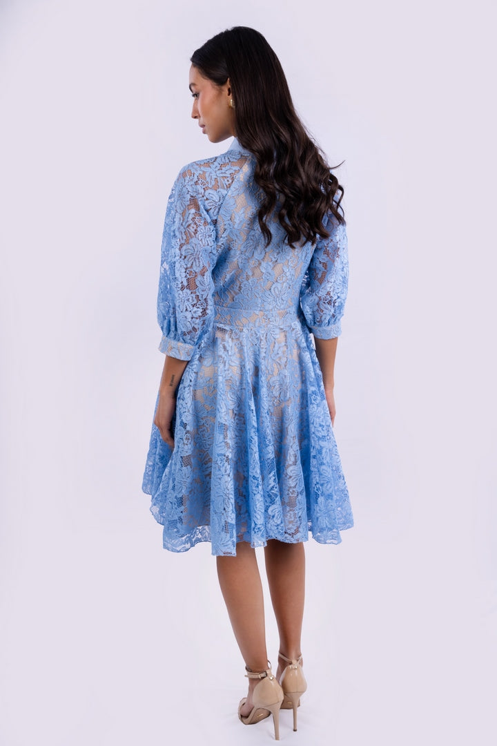 Vintage Spring  FLORAL Lace Dress