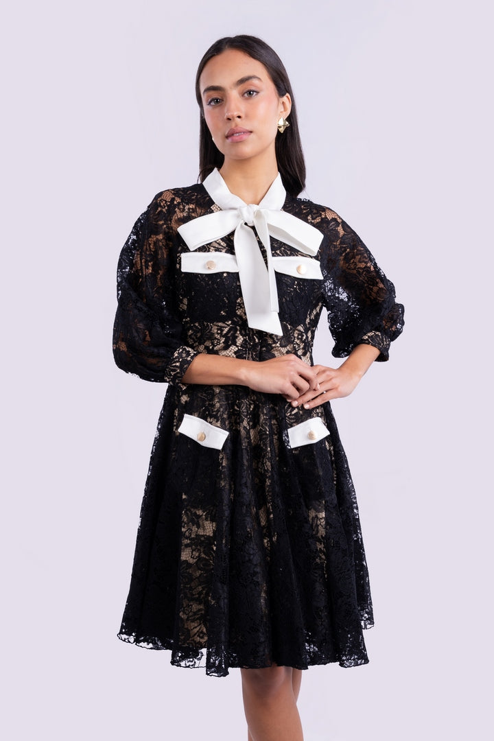 Vintage Spring  FLORAL Lace Dress